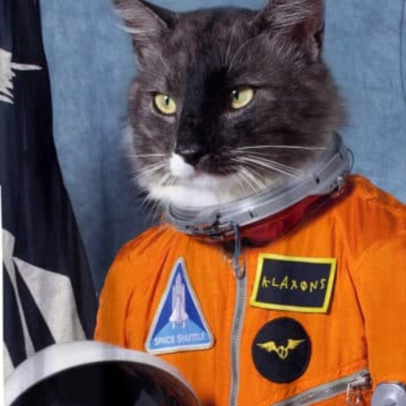 Meet your Posher, Aries - Picture 3 of 16